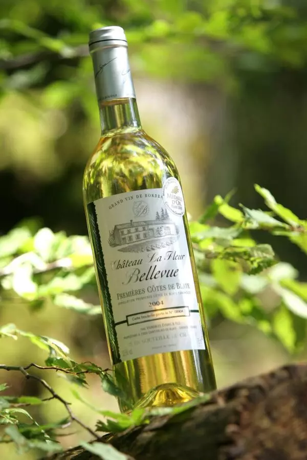 Foire aux vins - Stéphane FRANÇOIS photographe professionnel à Strasbourg dans le Bas-Rhin