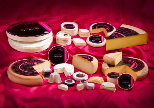Fromi Composition de fromages sur drapé