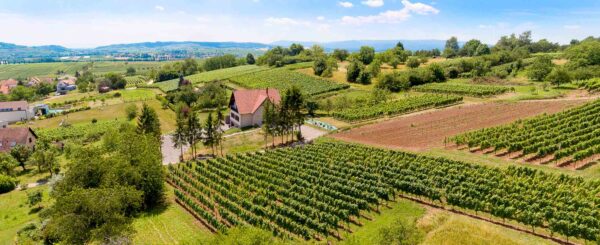 Prise de vue d'urbanisme réalisée par drone d'un gîte dans son environnement en Alsace