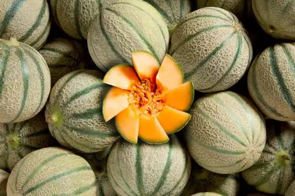 Composition de melons - Studio de photographie professionnelle à Strasbourg dans le Bas-Rhin en Alsace