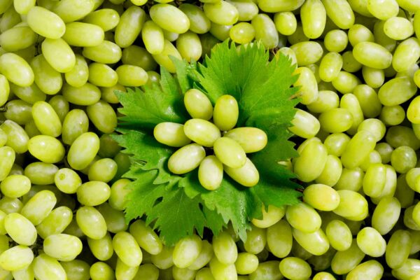 Composition de raisins blancs - Studio de photographie professionnelle à Strasbourg dans le Bas-Rhin en Alsace