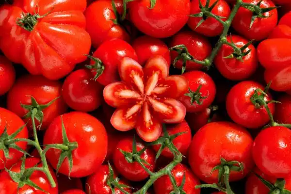 Composition de tomates - Studio de photographie professionnelle à Strasbourg dans le Bas-Rhin en Alsace