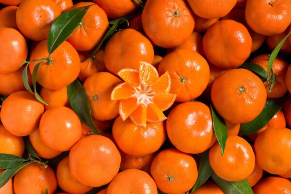 Composition de mandarines - Studio photo culinaire Strasbourg 67 Alsace