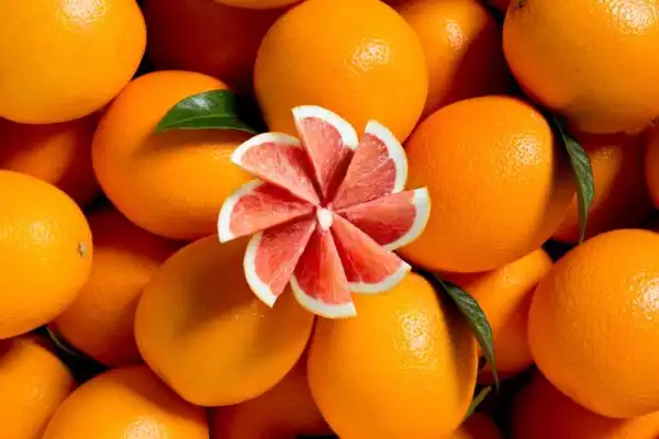 Composition d'oranges sanguines - Photographe culinaire Strasbourg 67 Alsace