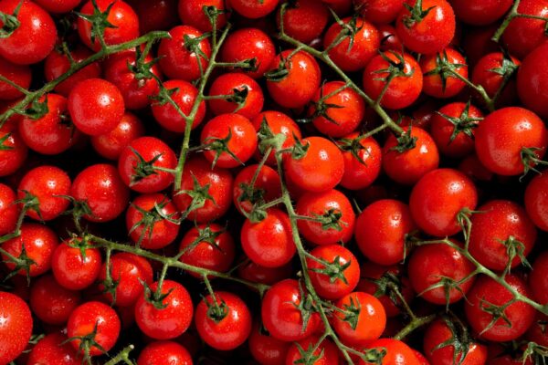Composition de tomates cerises - Photographe culinaire Strasbourg 67 Alsace