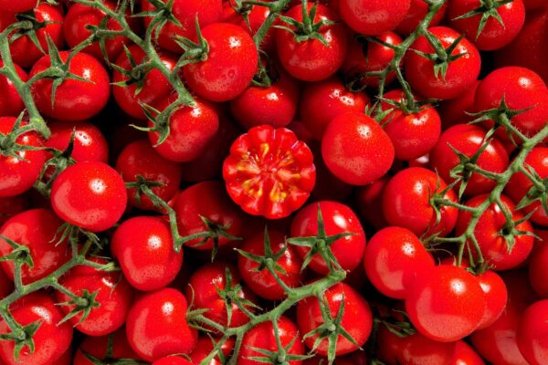 Composition de tomates en grappes - Studio photo culinaire Strasbourg 67 Alsace