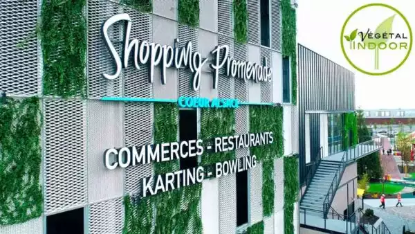 Vignette vidéo Végétal Indoor